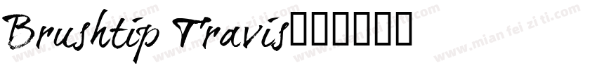Brushtip Travis字体转换